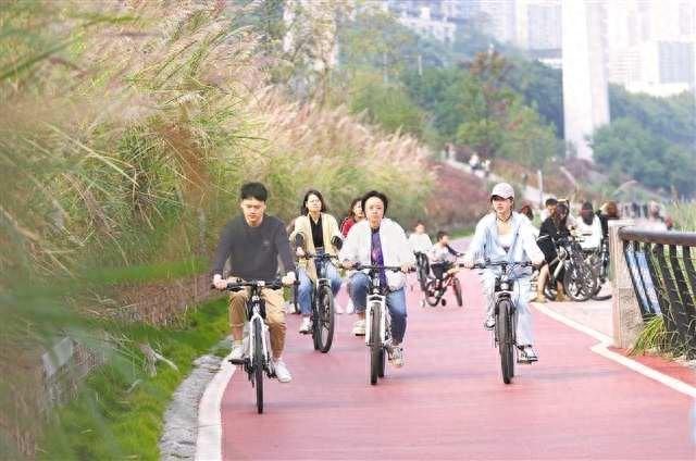 江滩公园生态治理重塑岸线