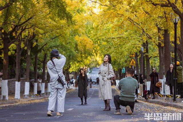 青岛故事｜五彩斑斓的秋日青岛，你怎能不爱？