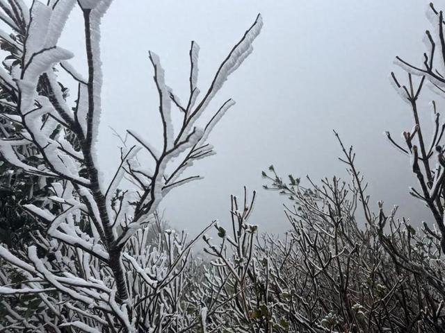 最低-1℃，清远出现冰挂！多地寒冷预警……