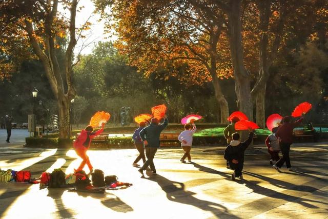 长宁的秋叶，红得醉人……