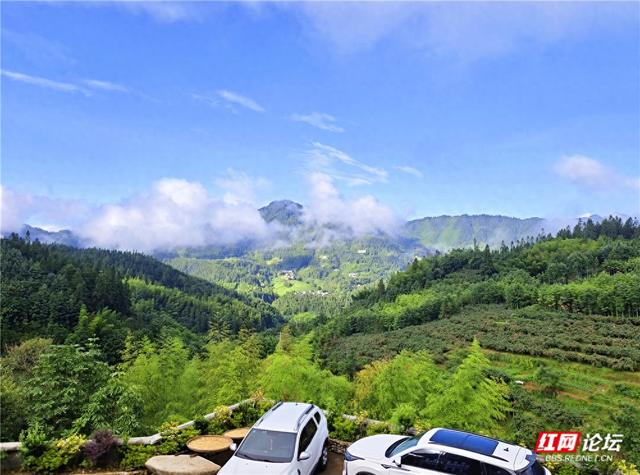 何必去远方？在桂东，我遇见23℃的夏天