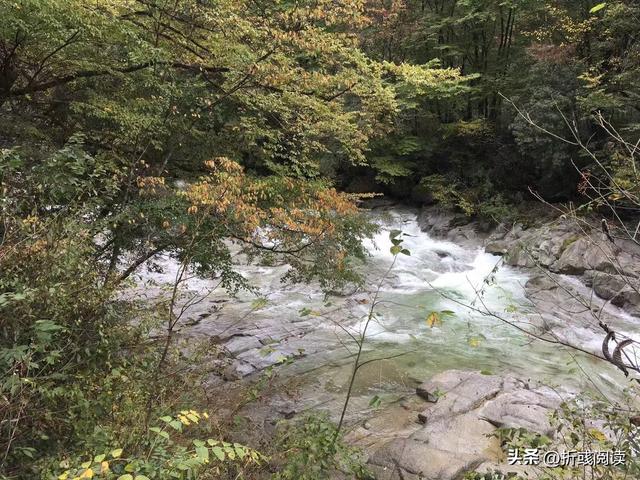冒雨行驶八百里，却踩坑米仓山，与最美红叶失之交臂，抱憾而归