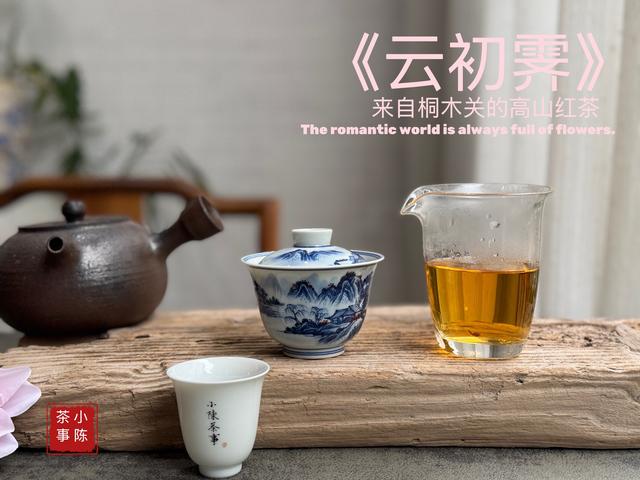 金骏眉属于什么茶多少钱（正宗金骏眉什么价位市面上几十块的金骏眉）