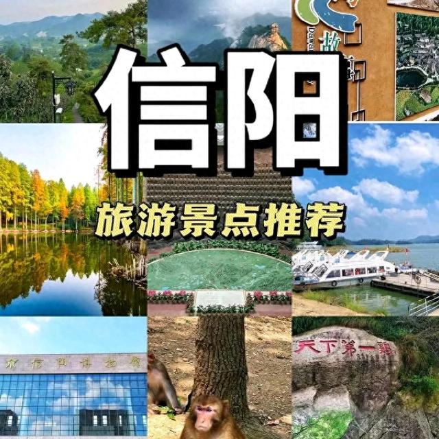 信阳旅游攻略：探秘中原的绿意与人文之旅