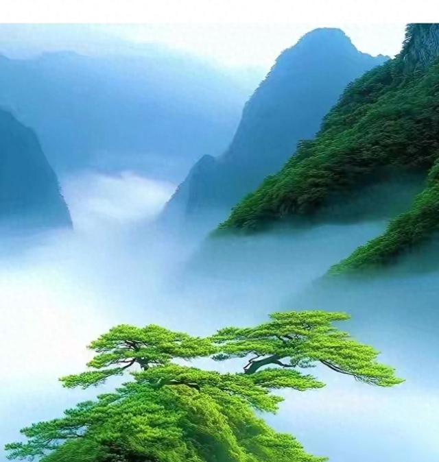 多到外面走，少在家里留，放松自已与大自然的联系