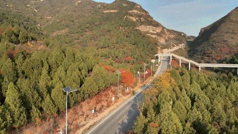 出发！开车窗，听风声，顺义公路寻秋——