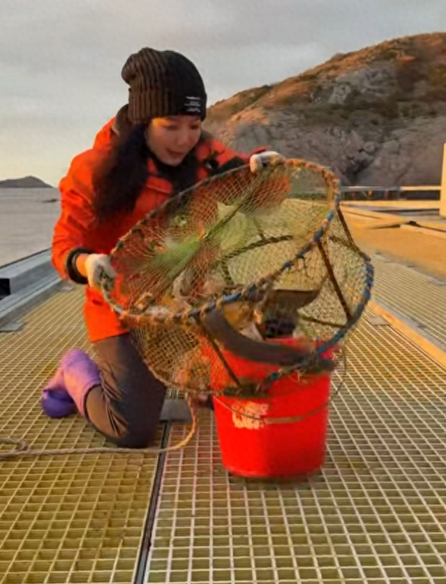 做了20多年房地产，北京姑娘不干了，跨越2800公里来浙江无人岛上班：螃蟹管够，沙鳗钓到手软