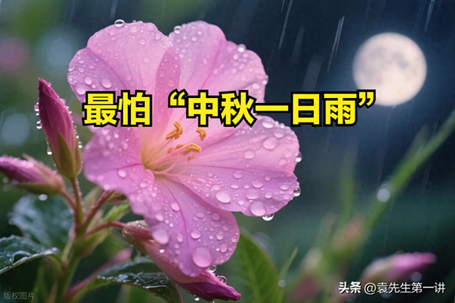 今日中秋，老人说最怕“中秋一日雨”，中秋下雨有啥预兆？早了解