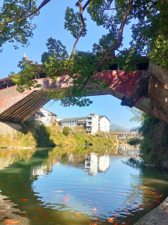 瓯越风情（二）：泰顺·廊桥遗梦与山乡暖意