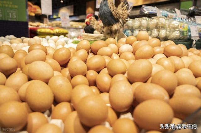 人造鸡蛋泛滥，成本只要1毛钱？应该如何分辨？这4种鸡蛋真要少吃