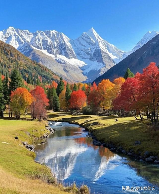 十一月，赴一场深秋之约