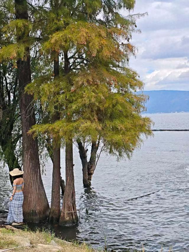 以自己的方式过好每个日出日落