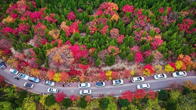 新华社：枣庄市中彩韵斑斓