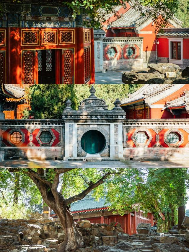 比故宫便宜，比天坛人少！快来免费的“京西小故宫”光影美绝了！