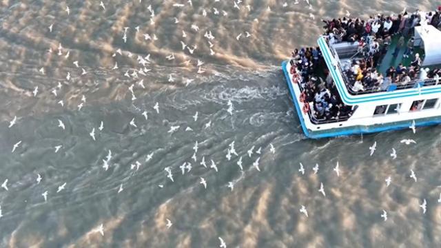 生态绘新卷 各地绘就绿色发展好风光