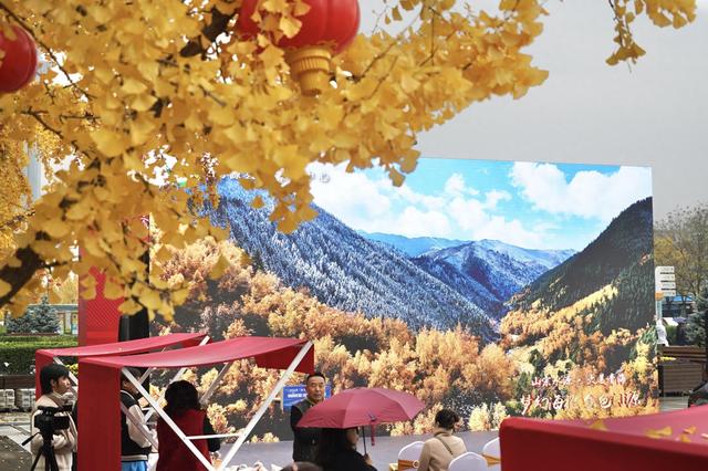 “金色门源·林海雪原”文旅推介亮相奥林匹克中心区