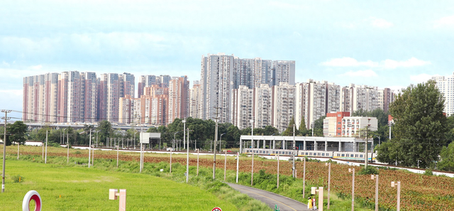高粱红遍大田站 落虹桥畔好“丰”景