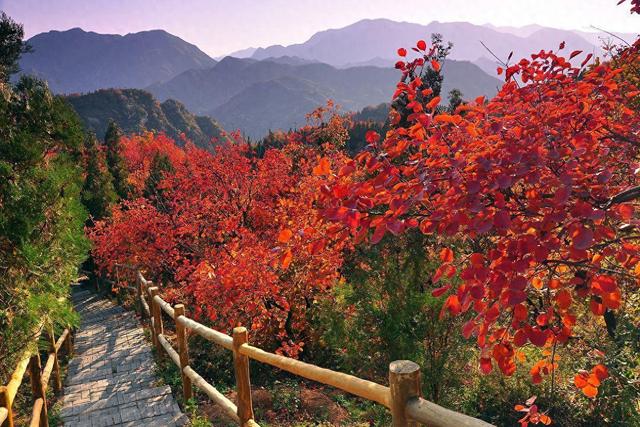 周末就出发！郑州周边5座好爬不累的山→