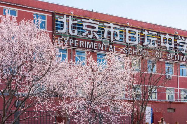 十里堡的简介（惊艳北京十里堡桃花绽放）