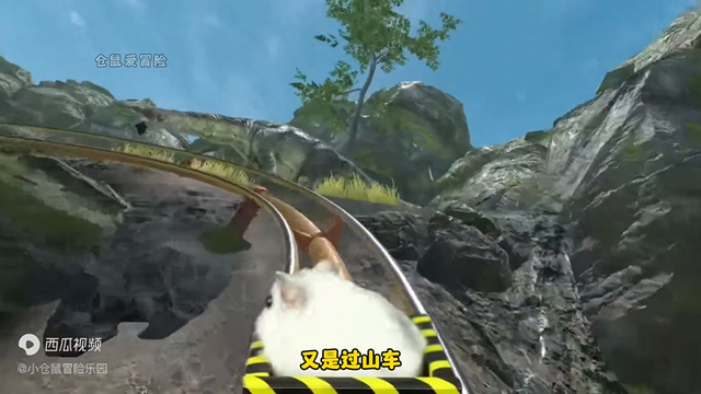 救援森林仓鼠攻略（小仓鼠大冒险森林大冒险）