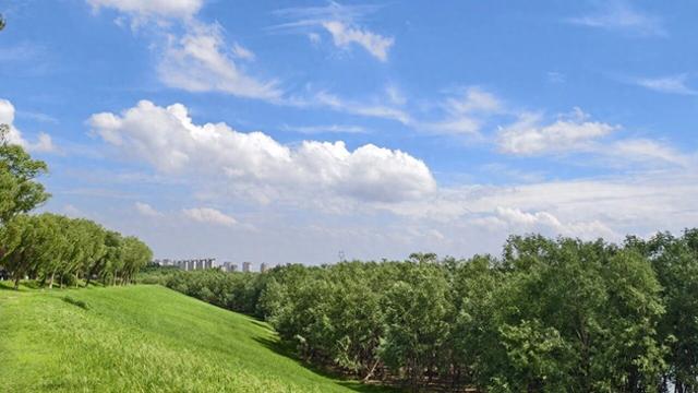 济南驻村第一书记带你自驾行 • 游乡村 | 槐荫篇：槐荫黄河畔 寻露营稻田