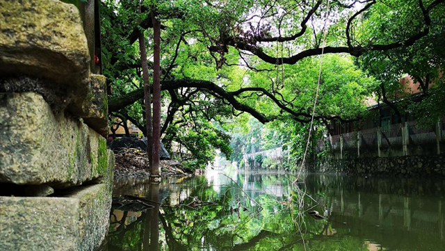 广州城里的世外桃源！百蚝壳屋+古桥祠堂，避人潮享惬意慢时光