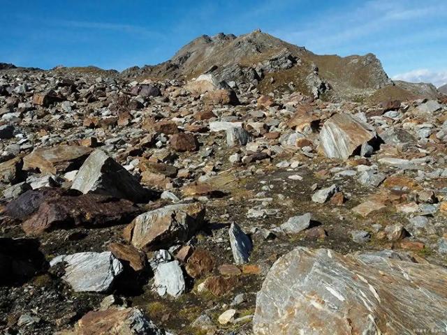 安世半导体反转！荷兰服软求谈，中方原则问题不让步