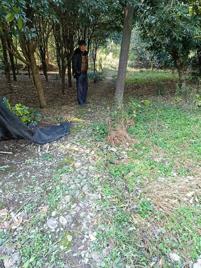 红七军走过的路：从全州龙水桥渡到全州镇大喜塘与枫木山走过的路