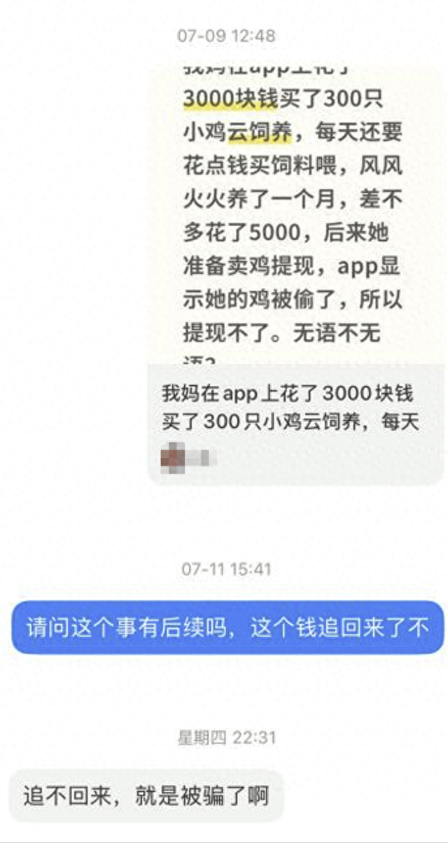 小鸡简化版本活动提现（App里花上万元养的小鸡一夜蒸发起底云养殖骗局）