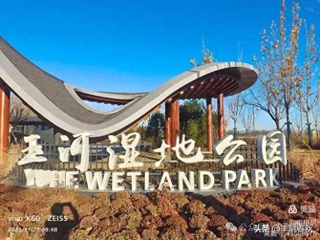 初冬北京玉河湿地公园游记|申艳娟