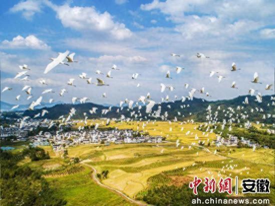 黄山区一地康养环境持续优化