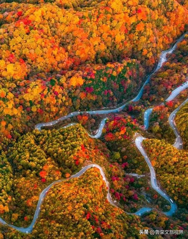 穿越米仓红枫，探秘巴山大峡谷：秦巴山脉里的秋日秘境与千年巴韵