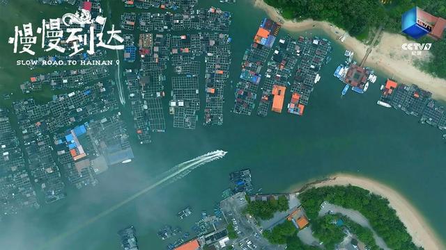 在这部纪录片里，一起去海南环岛旅游公路慢旅行