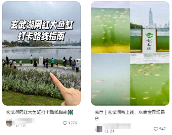 厉害了！南京“网红大鱼缸”，获国家发明专利