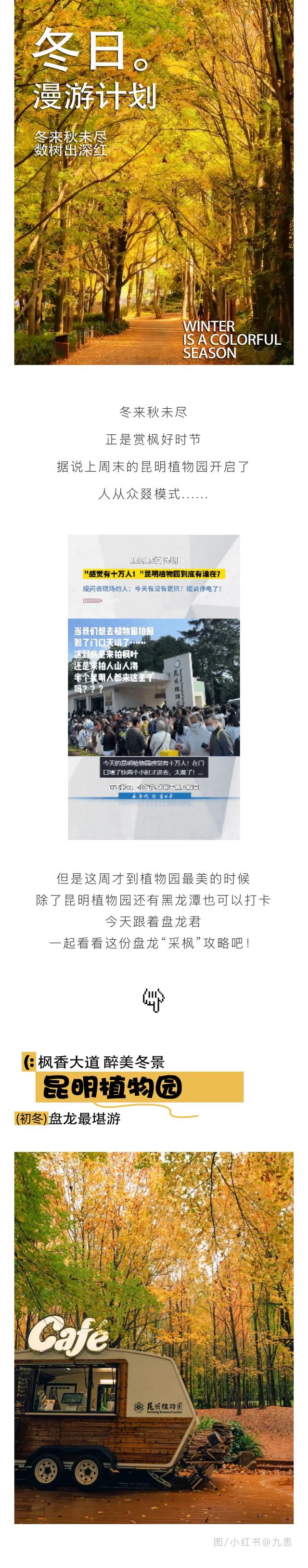 周末爆火！避开人挤人 这份攻略帮你提升盘龙“采枫” 体验感→