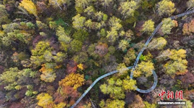 黑龙江8天迎客2612.5万人次 伊春跃升“黑马”长线旅游地