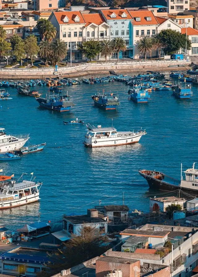 从渔港到田园！大亚湾这些绝美场景被镜头定格，宜居感拉满