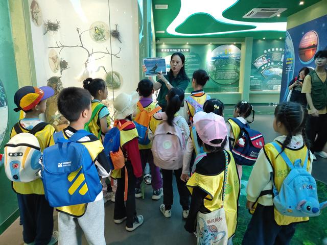 星湖湿地讲解员洪莉莉：做自然的“翻译官”