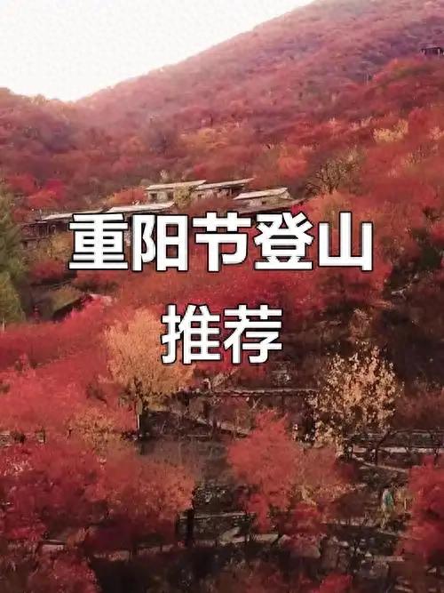重阳节登高去哪好?这几处“宝藏地”,打卡不扎堆! 重阳节登高去哪好?这几处“宝藏地”,打卡不扎堆!