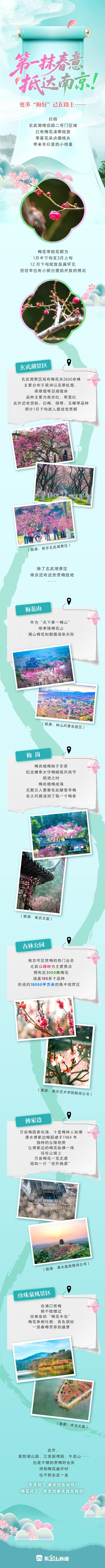 长图│第一抹春意抵达南京！更多“梅好”已在路上……