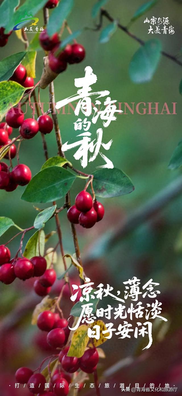 秋日青海丨凉秋，薄念，愿时光恬淡，日子安闲