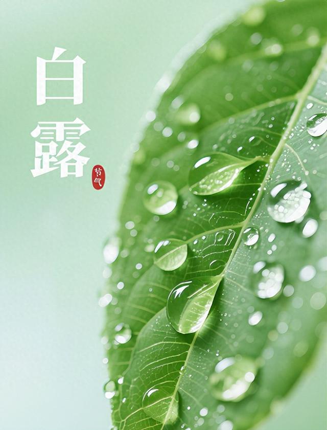 【节气里的大美海南】白露轻拂椰风暖，海南秋韵自成诗