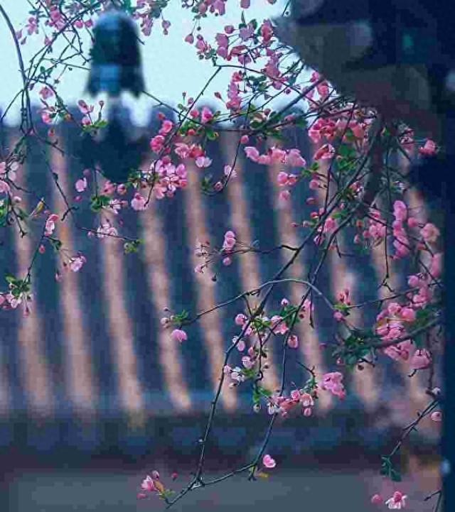 我是郑州人，去了趟甘肃兰州，不吹不黑，兰州比网上平价的还要好