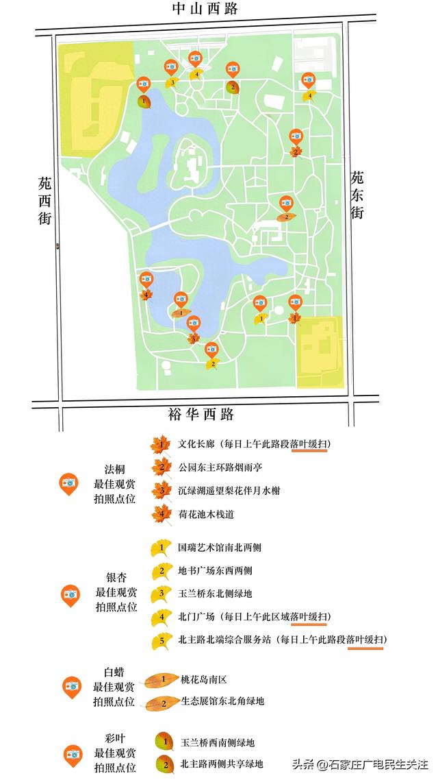 石家庄市裕西公园赏叶美景上线邀您打卡