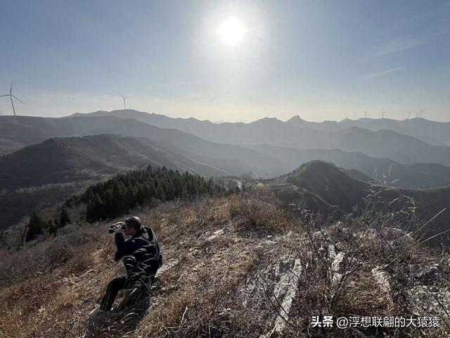 游赏过九鼎山后，我又跑到一户院里“强买”了大爷种在路边的白菜
