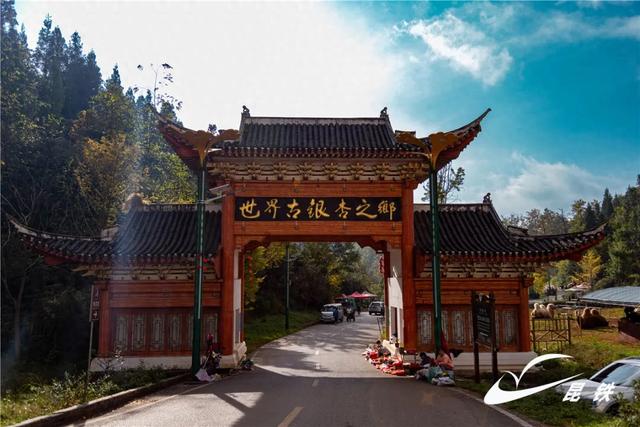 金叶映古驿!妥乐千年诗意,此刻正当赴