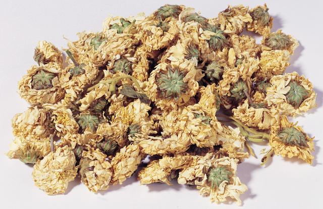 怀菊花的介绍（瑞龙中药大讲堂｜怀菊花）