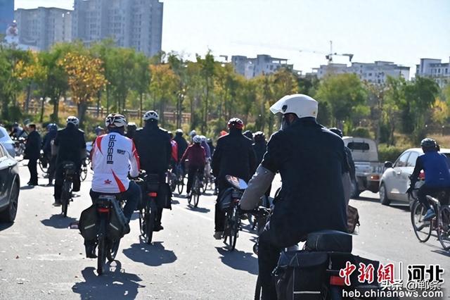高端媒体看邯郸丨河北曲周举办“骑聚千年凤城 共赏银杏美景”主题骑行活动