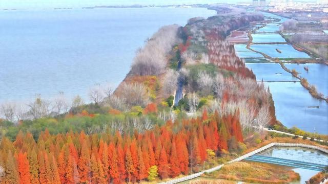 洪泽湖旅游公路：铺就产业振兴新坦途