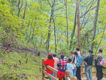 “多彩九寨”又添几抹发展新底色